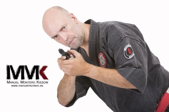 гошиндо тайки
