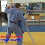 Айкибудзюцу-Сасори-кан