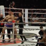 Eduard Gafencu tornado kick