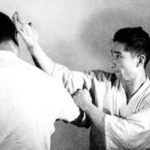 Хайши учи (Haishu Uchi)