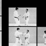 Хайван джодан учи нагаши уке (Haiwan jōdan uchi nagashi uke)