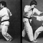 Жун цуки (Jun zuki)