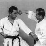 хитосаши иппон кен (hitosashi ippon ken)