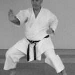 karate hikite (удар никитэ)