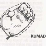ударная поверхность - кумадэ (kumade)