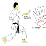 миги шотей (migi shotei)