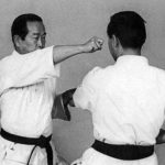 Накадака кэн (Nakadaka ken)