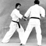 ояюби кен джодан (oyayubi ken jodan)