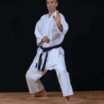 микадзуки гери уке (mikazuki geri uke)