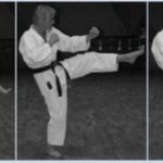 Аши Мае Гери (Ashi Mae Geri)