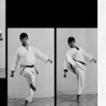 Гьяку маваши шитсуи гери (Gyaku mawashi shittsui geri)