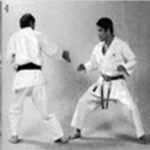 Джодан кайтэн уширо гери (Jōdan Kaiten Ushiro Geri)