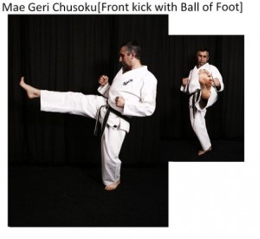 Mae-Geri-Chusoku_L-300x276.jpg