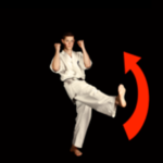 ораши учи какато гери (ORASHI UCHI KAKATO GERI)