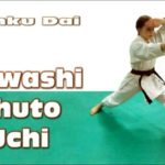 Шуто маваши учи (Shuto Mawashi Uchi)