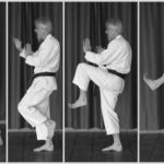 Ошикоми гери (Oshikomi Geri)