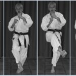 Гьяку маваши гери (Gyaku mawashi geri)