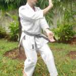 Teisho Awase Zuki