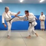 Учи гери (Uchi geri)
