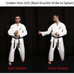 Уракен Хизо Учи (Uraken Hizo Uchi)
