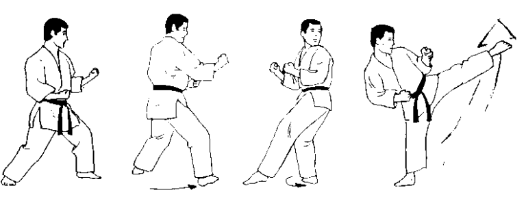 Уширо ура маваши гери (Ushiro Ura Mawashi Geri)