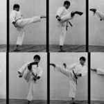 Йоко маваши гери (Yoko Mawashi Geri)