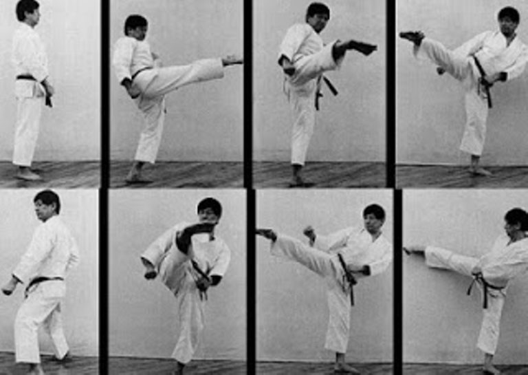 Йоко маваши гери (Yoko Mawashi Geri)