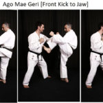 аго мае гери (ago mae geri)