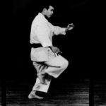 аши мае гери (ashi mae geri)