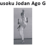 Чусоку джодан аго гери (chusoku jodan age geri)
