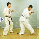 гедан гери(gedan geri)