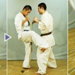 гедан гери (gedan geri)