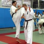 высокий хиза ганмен гери - grounded hiza ganmen geri