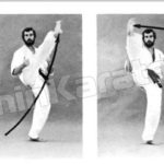 Хайсоку маваши учи кэаге(haisoku mawashi uchi keage)