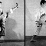 Хики аши (hiki ashi)