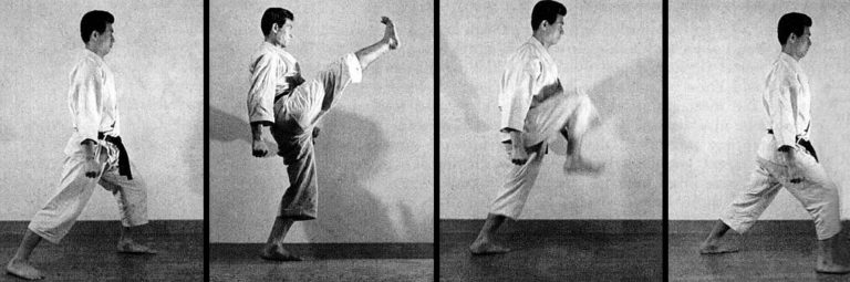 Хики аши (hiki ashi)