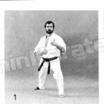 джодан учи хайсоку гери (jodan uchi haisoku geri) вид сбоку