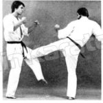 джодан уширо маваши гери (jodan ushiro mawashi geri)