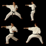 жун цуки (jun tsuki)