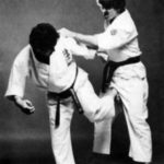 Какато уширо гери (kakato ushiro geri)