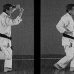 кенсей юка гери (kensei yuka geri)