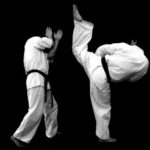 маваши отоши гери (mawashi otoshi geri)