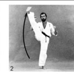 ороши сото какато гери (oroshi soto kakato geri)