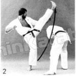 ороши учи какато гери (oroshi uchi kakato geri) применение