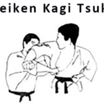 сейкен каги цуки (seiken kagi tsuki)