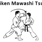 сейкен маваши цуки (seiken mawashi tsuki)