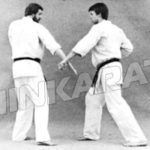 шуто учи коми (shuto uchi komi) применение