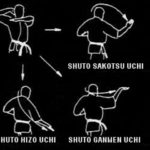 шуто сакоцу учи (shuto sakotsu uchi)