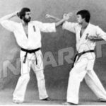тетсуи ороши ганмен учи (tetsui oroshi ganmen uchi) применение