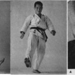 Какато Гери (Kakato Geri) удар